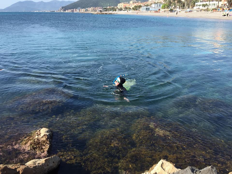 mer