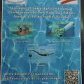 affiche zones 2014