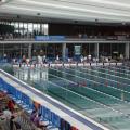 le bassin des championnats