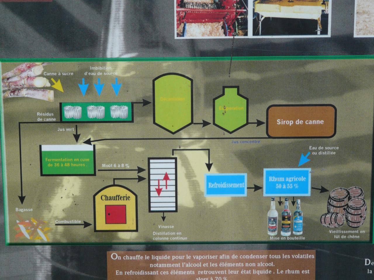 explication du rhum